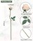 24PCS Vintage Artificial Mini Roses – Champagne Silk Fake Flowers with Long Flexible Stems for DIY Bouquets, Wedding Centerpieces, Party & Home Decor